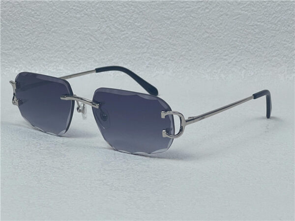 Cartier Bril | Donkerblauw/ Zilver ‘C’
